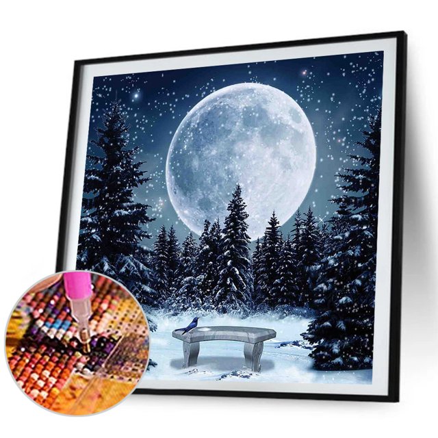 Cuadros Decorativos Luna nieve paisaje 5d Diy diamante pintura Kits pared arte completo cuadrado taladro regalo Ehuebsd embutido en tela