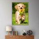 thumbnail image 4 of 5D León perro mariposa resina diamante pintura Animal taladro bordado costura DIY decoración interior punto de cruz kenally JJ13348-02, 4 of 6