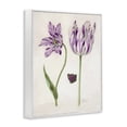 thumbnail image 2 of Stupell Industries Victorian Two Tulips Purple Flowers White Framed Giclee Art, 24 x 30, by Jacob Marrel, 2 of 7