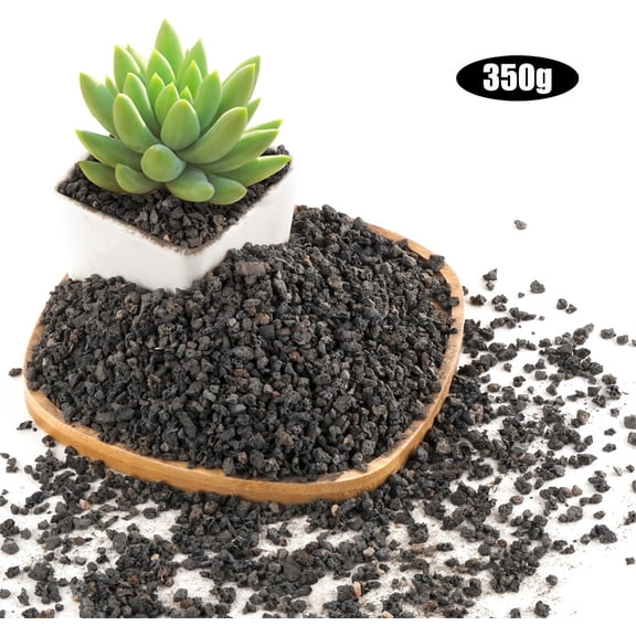 NOGIS 0.77lb Black Lava Rocks for Plants, Volcanic Rock Horticultural Lava Rock Soil for Landscaping Plants Drainage, Small Lava Rock Gravel for Succulents, Bonsai, Vase Fillers, Top Dressing
