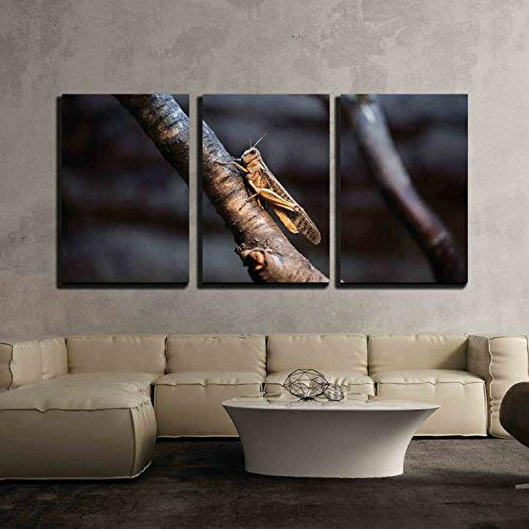 wall26 3 Piece Canvas Wall Art - Desert Locust (Schistocerca