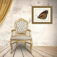 thumbnail image 3 of Stellar Design Studio 24x20 Gold Ornate Wood Framed with Double Matting Museum Art Print Titled - Papillon 5, 3 of 4