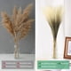 thumbnail image 4 of Uxcell 20 Paquete de Pasto de Pampas Falso 21.7" para Decoración del Hogar Boda Marrón, 4 of 6