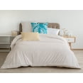 thumbnail image 3 of 20" x 20" Simply Daisy Summer Breeze Poly Pillow with Zipper, Caribbean Turquoise Qty 1, 3 of 3