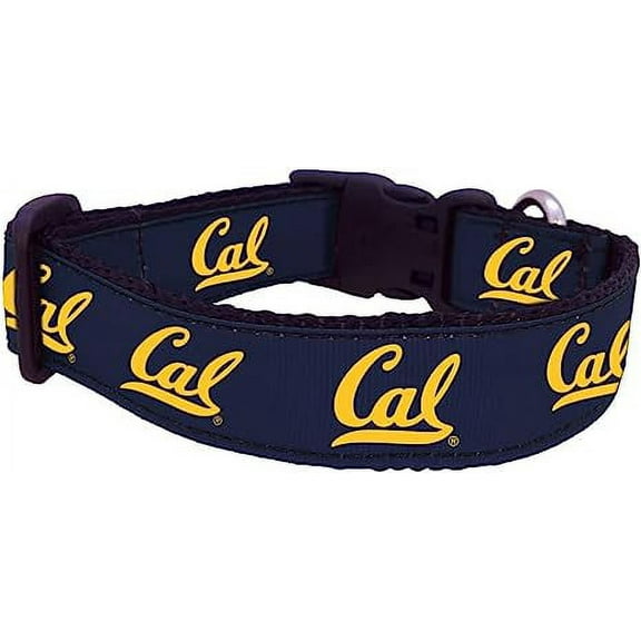 College Dog Collar (Medium, Cal)