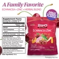 thumbnail image 2 of Zand Immunity Cherry Echinacea Zinc HerbaLozenge Throat Drops | No Corn Syrup or Cane Sugar (3 Bags, 15 Lozenges), 2 of 6