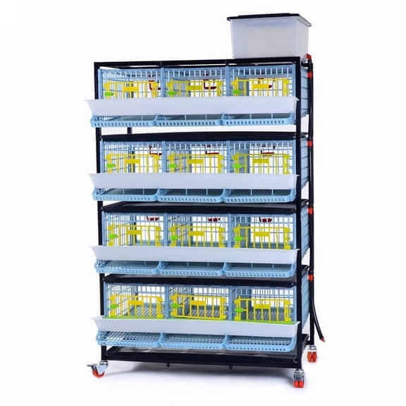 Hatching Time Quail Cage - 4 Layer (Power-Washable, Durable, ABS Plastic) | Cimuka