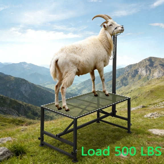 Goat & Sheep Stand with Headpiece and Nose Loop, Heavy Duty Goat Stand, 47x23 inch Adjustable Livestock Table, Sheep Stand for Livestock Trimming