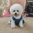thumbnail image 3 of Pet Pumpkin Dresses Pet Costume Blue Pet Costume Beautiful Pet Costume Blue Pet Dresses Vestidos de calabaza para mascotas estampado de calabaza Vestidos para mascotas para ANGGREK Otros, 3 of 8