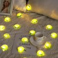 thumbnail image 3 of Osaladi Lime Slice String Light 3 Meters 20 Leds Battery Powered Light String For Patio Fence Deck B, 3 of 3