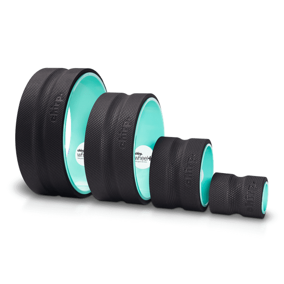 Chirp Wheel Plus 4P - DTC (12", 10", 6", 4")