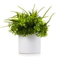 thumbnail image 4 of Enova Home  Artificial Mixed Eucalyptus Grasses Fake Plants Arrangement in White Ceramic Vase for Home Office Decoration White Green, 4 of 5