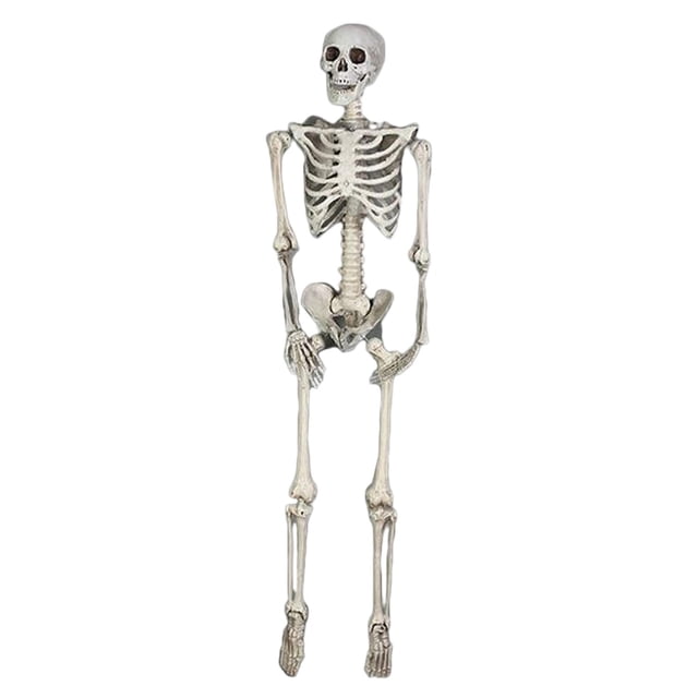 Esqueleto de Simulación Sunnimix 185 cm para fiestas Temáticas de Halloween