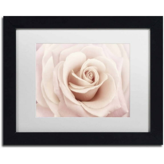 Trademark Fine Art 'Peach Pink Rose' Canvas Art by Cora Niele, White Matte, Black Frame