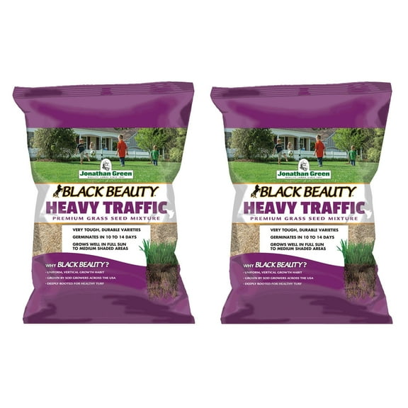 Jonathan Green Black Beauty Heavy Traffic Lawn Fescue Grass Seed, 7lb Pack of 2