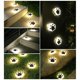 thumbnail image 2 of Carrot Luz Led Solar con forma de pata de oso para exteriores, lámpara subterránea impermeable para jardín, decoración, 4 Uds., 2 of 5