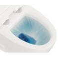 thumbnail image 6 of Eviva Zion One Piece Toilet in White, 6 of 14