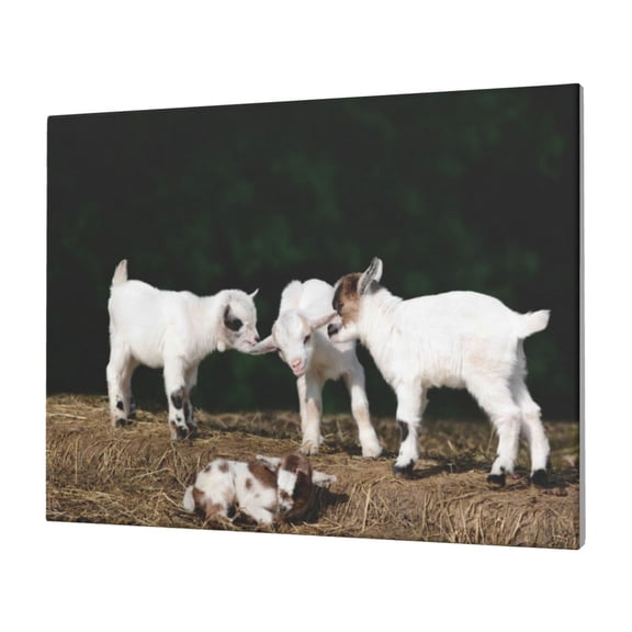 Logiee Cute Goat Baby Print Canvas Wall Art,Canvas Picture Prints with Frame, Wall Art Decorative,Canvas Decorative,Suitable for Living Room Bedroom Office Room 30x40