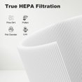 thumbnail image 4 of A2001 Replacement Filter Compatible with A2001 Air Purifier, 3-In-1 Efficient Filtration, Compared to Part #AF-2001, 2 Pack, 4 of 7