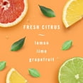 thumbnail image 3 of Febreze AUTO Air Freshener Vent Clip Fresh Citrus Scent, .06 oz Car Vent Clip, Pack of 2, 3 of 12