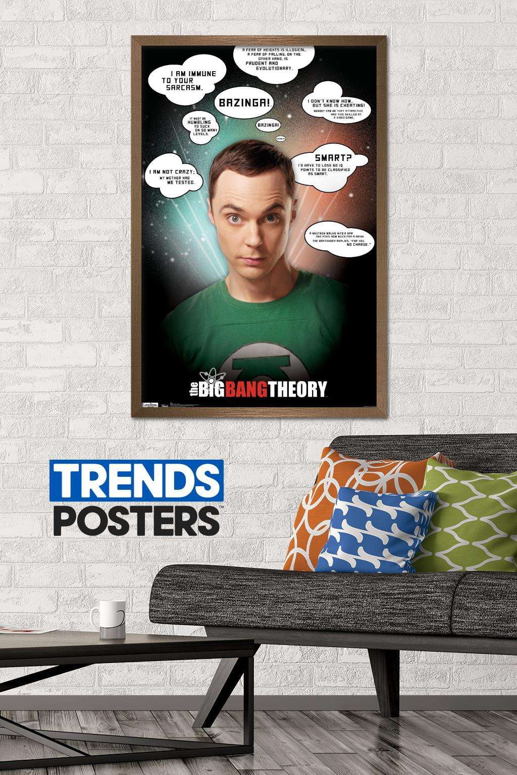 The Big Bang Theory - Quotes Wall Poster, 22.375" x 34", Framed