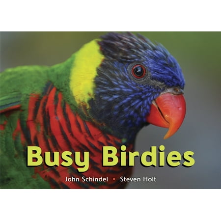 Birdie Bites - Busy Birdies