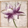 thumbnail image 2 of Defined Lotus by Patricia Pinto Canvas Art Set of 2 14 inch X 14 inch Each, 2 of 4