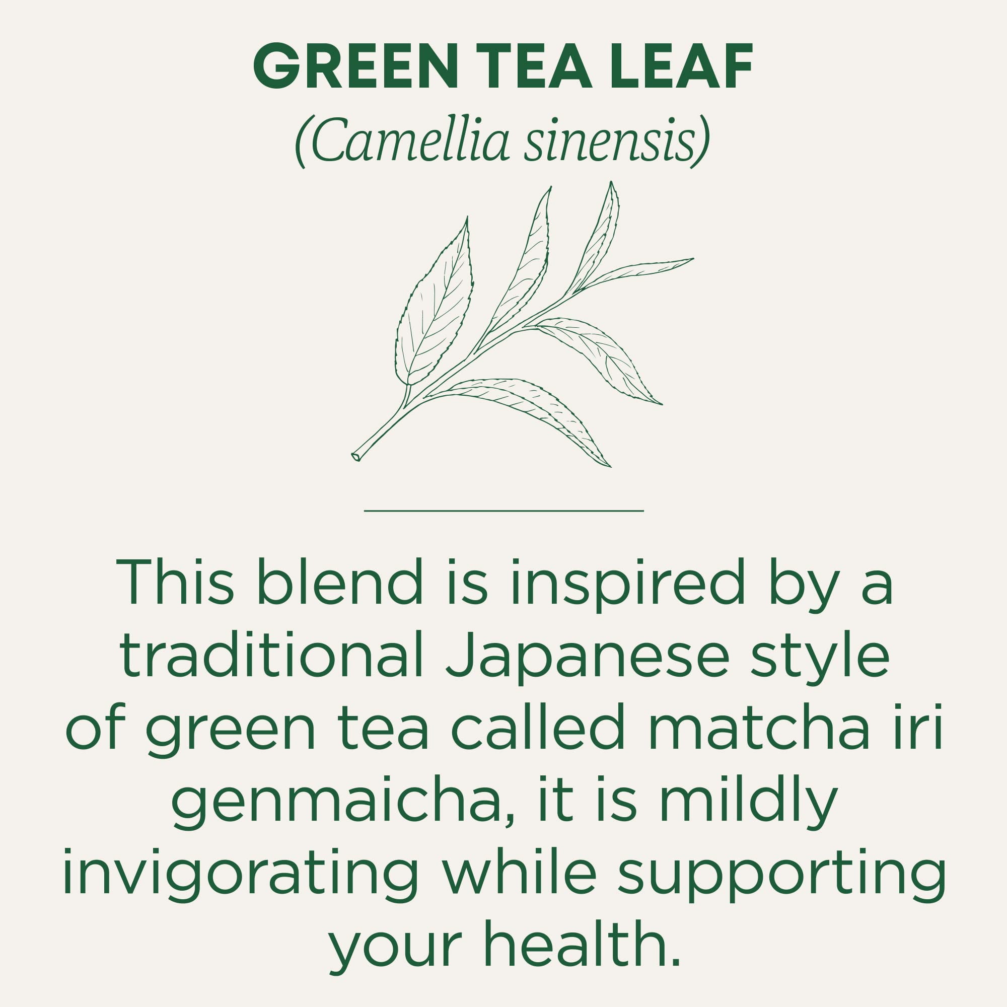 Traditional Medicinals Organic Green Tea With Toasted Rice, Matcha, 16 Count (Pack of 6)