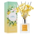 thumbnail image 1 of Set difusor Reed Airkeep, aceite de eucalipto y limón, 100 ml, con barras, 1 of 7