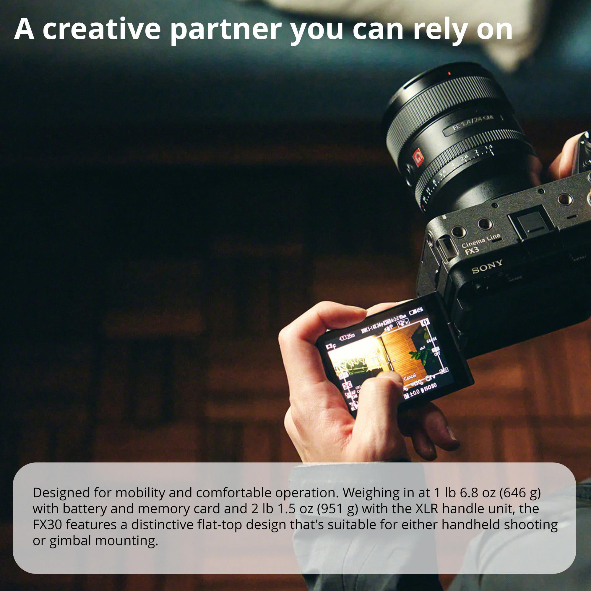 Sony Cinema Line FX30 Super 35 Camera (Body Only) Bundle with Sony