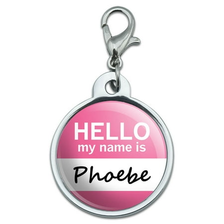 Phoebe Hello My Name Is Small Metal ID Pet Dog Tag