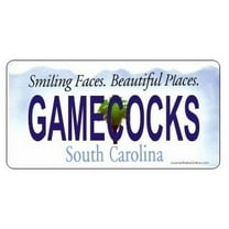 Design It Yourself Custom S. Carolina Plate. Free Personalization on Plate