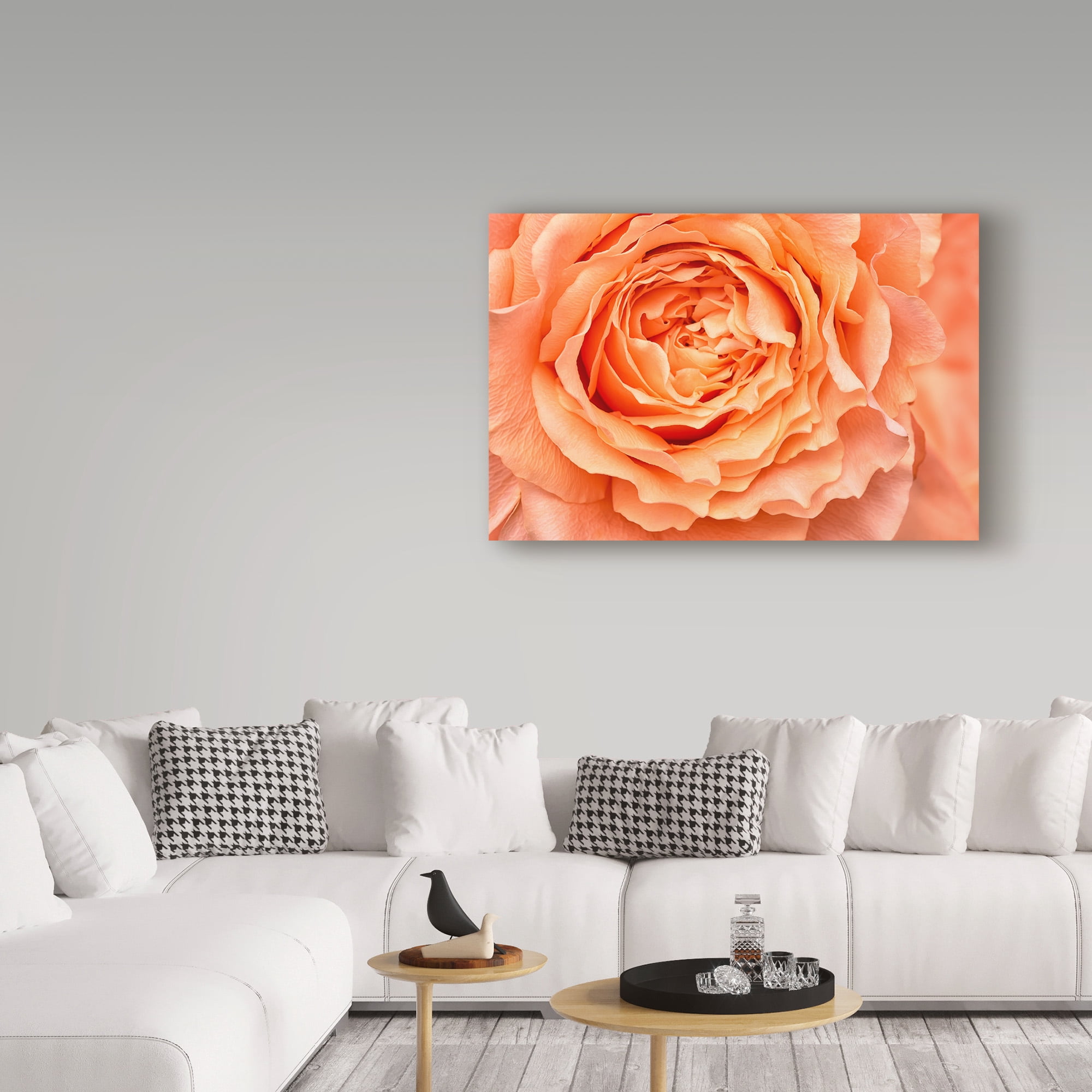 Trademark Fine Art 'Orange Rose Close Up' Canvas Art by Cora Niele