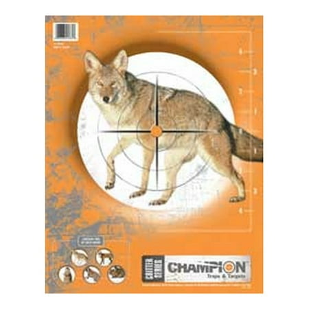 Champion Practice Targets 45781 Critter Series (Best Rifle For Long Range Target Practice)