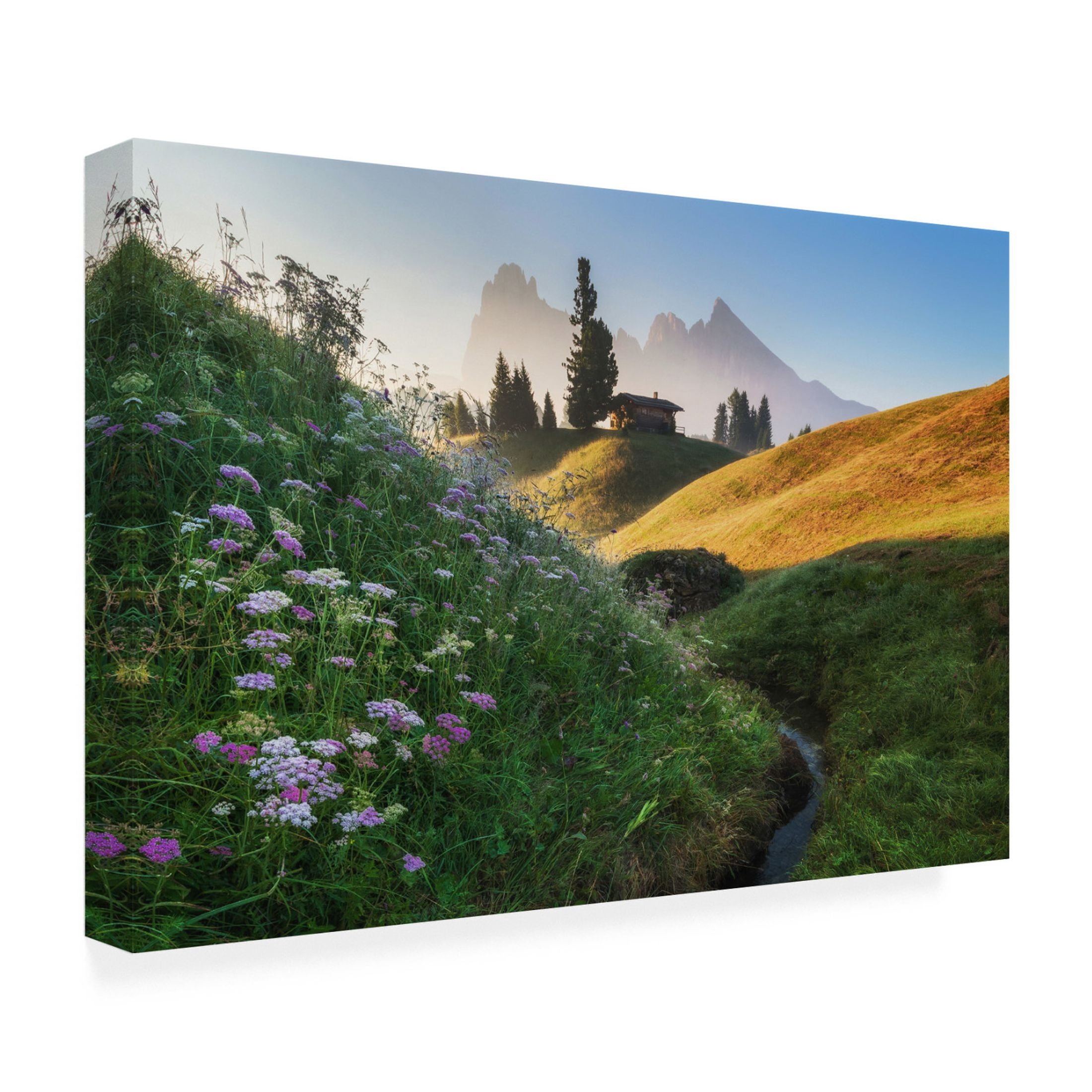 Canvas Wall Art - Ales Krivec 'Flowery Morning' Wall Art for Living Room, Bedroom, or Office Décor by Trademark Fine Art - 32 x 22 Inches