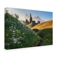 thumbnail image 4 of Canvas Wall Art - Ales Krivec 'Flowery Morning' Wall Art for Living Room, Bedroom, or Office Décor by Trademark Fine Art - 32 x 22 Inches, 4 of 4