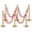 6-Pack | 4 Velvet Ropes, variant on Kojooin Gold Stanchion Post Queue,38 Inch Stanchion Posts Queue with 5 ft Red Velvet Rope,Ropes Safety Barriers Set,Crowd Control Barriers Queue Line Rope for Theater Party Museums