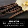 thumbnail image 2 of Woodwick Ellipse Candle, Vanilla Bean, 16 oz, 2 of 5