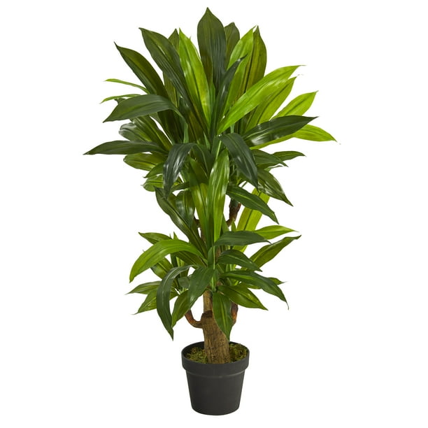 Nearly Natural 3ft. Corn Stalk Dracaena Artificial Plant (Real Touch