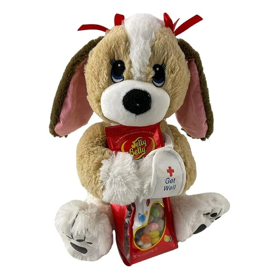 Girls Broken Arm Get Well Gift Basket Care Package For Kids. Broken Arm Dog Plush with Candy Girls Ages 4-8