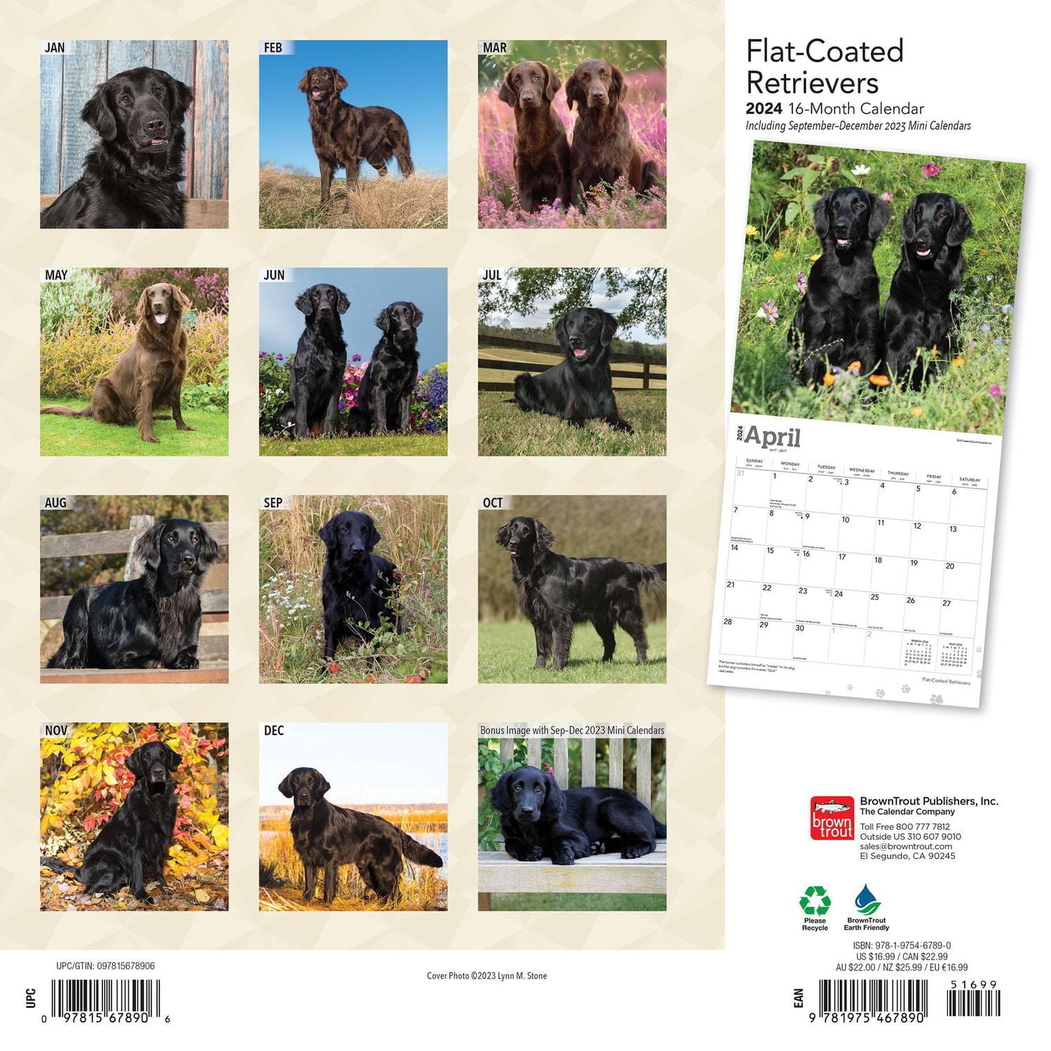 BrownTrout Flat-Coated Retrievers 2024 12x24 Inch Square Wall Calendar, 9781975467890
