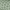 Sage Green, variant on Beautiful Dot Textured 6pk Towel Set, 2 Bath, 2 Hand, 2 Wash - Smokey Blue by Drew Barrymore