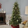 thumbnail image 4 of National Tree Company 7.5 ft. Pre-Lit Feel Real® Artificial Christmas Tree, Green, Northern Fraser Fir, Clear Lights, Includes Stand, 4 of 4