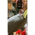 thumbnail image 7 of Jacenvly New Bath Toys Cute Chameleons Plush Doll Adult Children Plush Toy Doll Toys for Ages 8-13 Boy Toys, 7 of 7