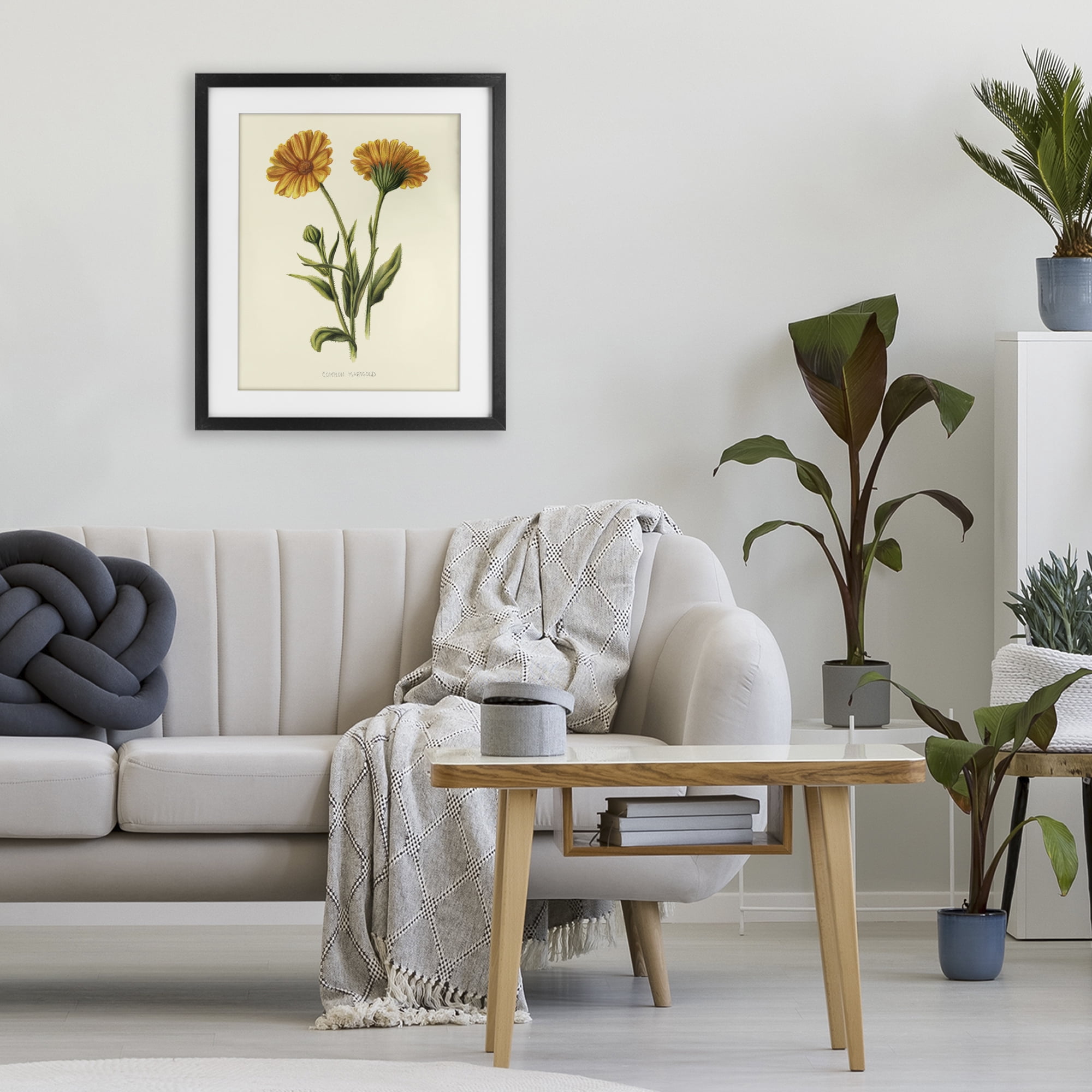 Stupell Industries Twin Marigold Blooms Black Framed Print Under Glass, design by Connie Resch