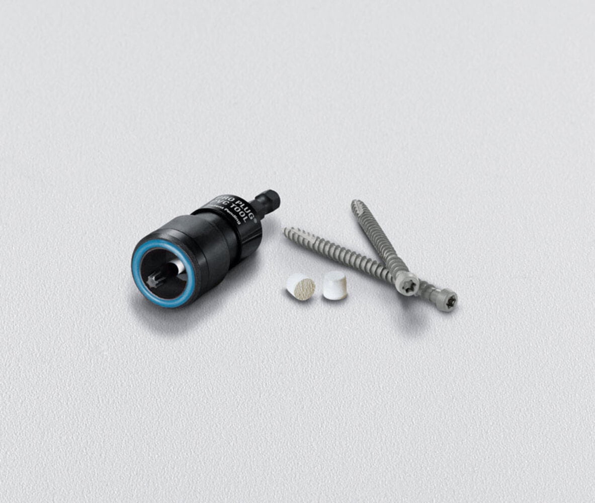 Starborn 5001424 Pro Plug No. 10 x 2.75 in. Star Trim Head Epoxy Coated Carbon Steel Deck Screws & Plugs Kit