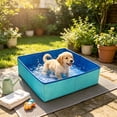 thumbnail image 6 of Foldable Pet Pool and Ball Pit, Fast Setup PVC Collapsible Tub for Small Dogs, Multicolor, 31.49x7.87 Inches, 6 of 7