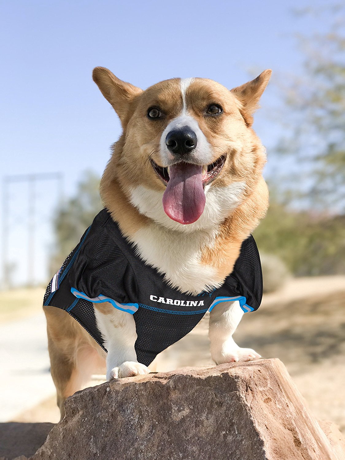 Pets First NFL Carolina PanthersLicensed Mesh Jersey for Dogs and Cats - Extra Extra large