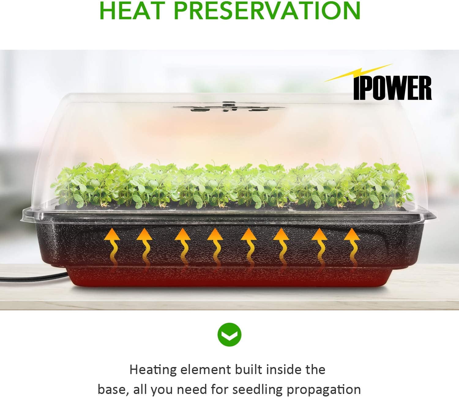 iPower Heating Seed Starter Germination Kit Seedling Propagation Tray