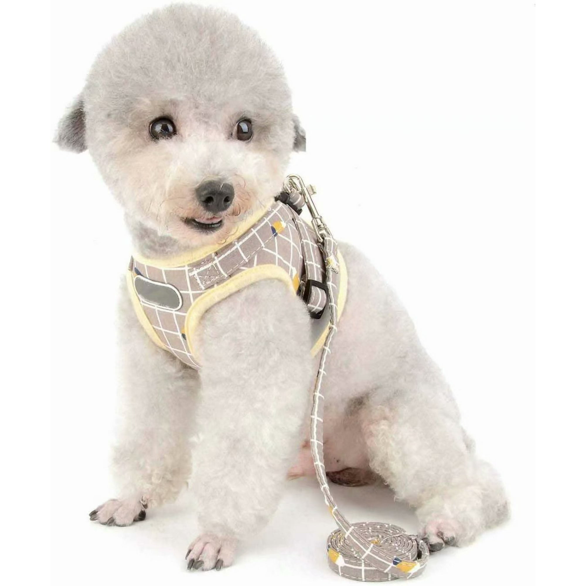 Dog harness for chihuahua 2025